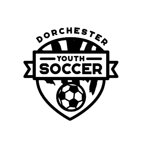 DYS Logo black and white
